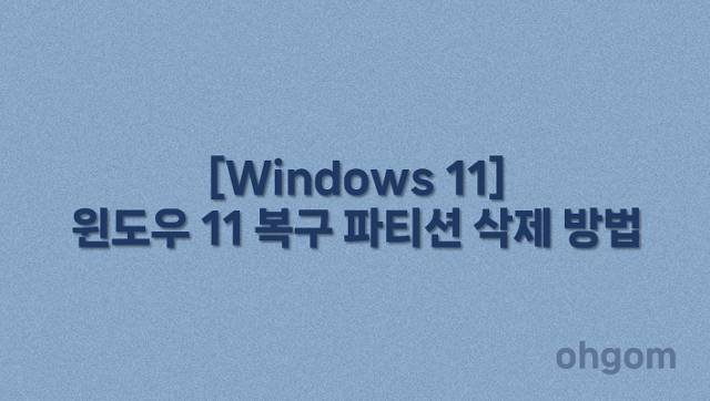 [Windows 11] 윈도우 11 복구 파티션 삭제 방법