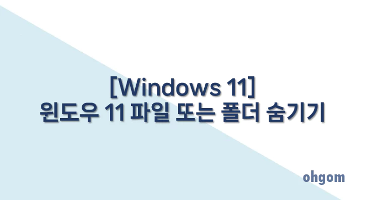 [Windows 11] 윈도우 11 파일 또는 폴더 숨기기