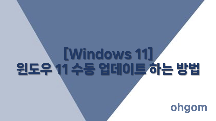 [Windows 11] 윈도우 11 수동 업데이트 하는 방법