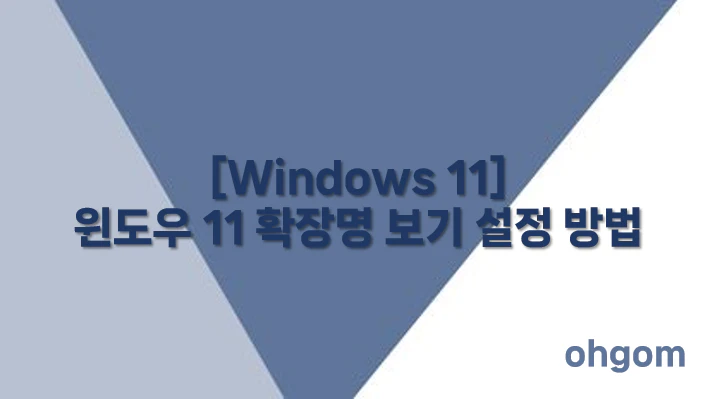 [Windows 11] 윈도우 11 확장명 보기 설정 방법