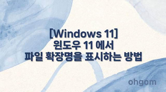 파일 확장명