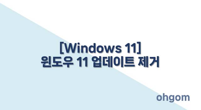 업데이트 제거