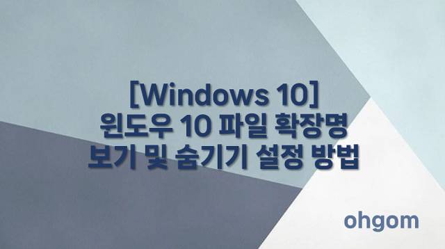 파일 확장명 보기