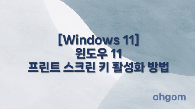[Windows 11] 윈도우 11 프린트 스크린 키 활성화 방법