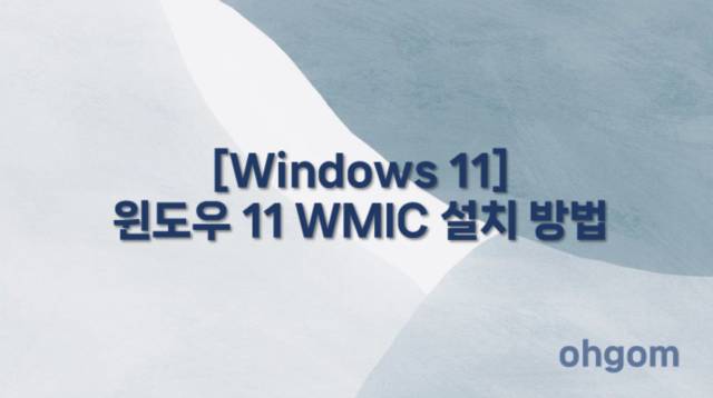 [Windows 11] 윈도우 11 WMIC 설치 방법