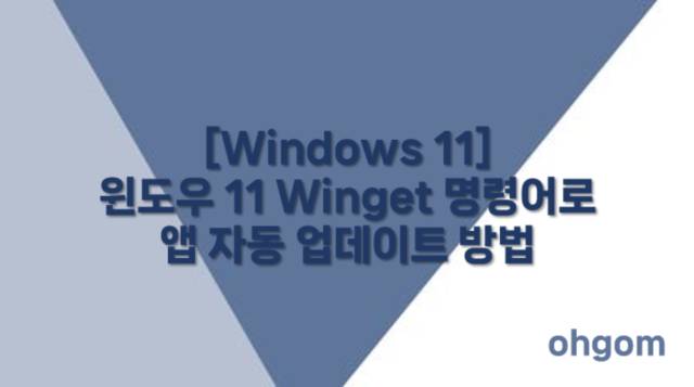 [Windows 11] 윈도우 11 Winget 명령어로 앱 자동 업데이트 방법