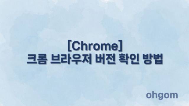 크롬 브라우저 버전 확인