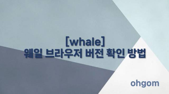 [whale] 웨일 브라우저 버전 확인 방법