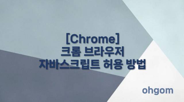 자바스크립트 허용