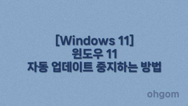 [Windows 11] 윈도우 11 자동 업데이트 중지하는 방법